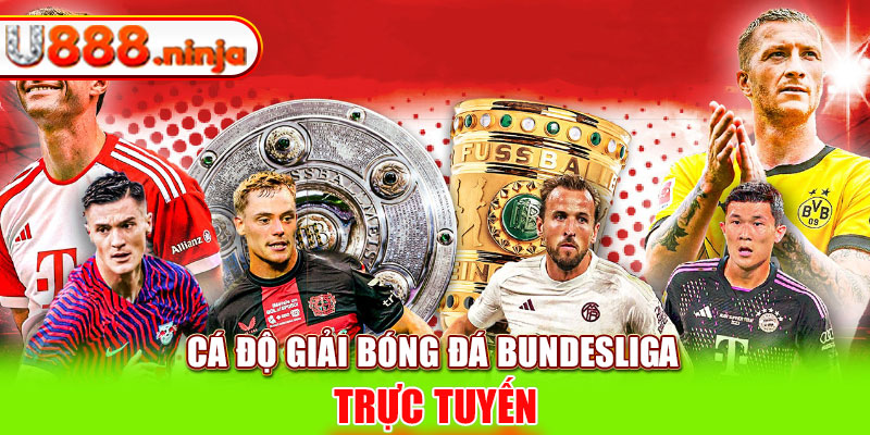 Cá độ giải bóng đá Bundesliga trực tuyến
